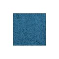 Carpets For Kids Carpets for Kids 2146.407 Mt. St. Helens - Marine Blue Rug 2146.407